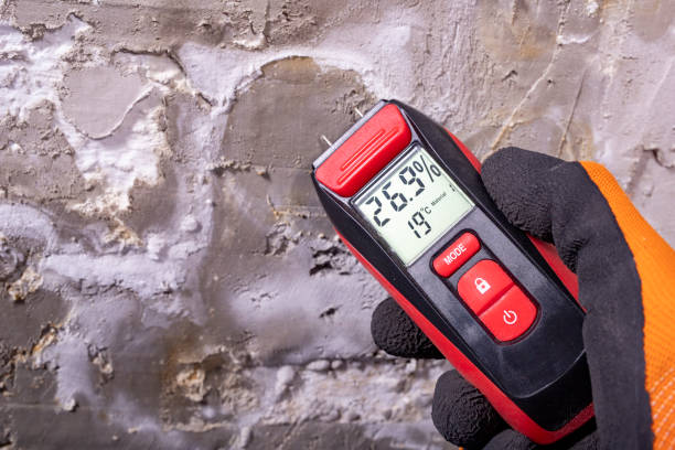 Best Mold Remediation  in Santee, SC