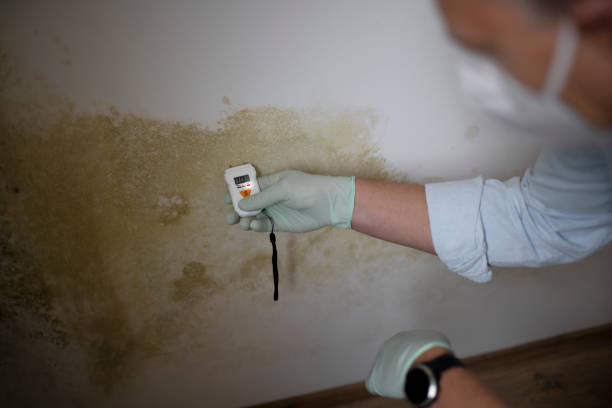 Best Crawl Space Mold Removal  in Santee, SC